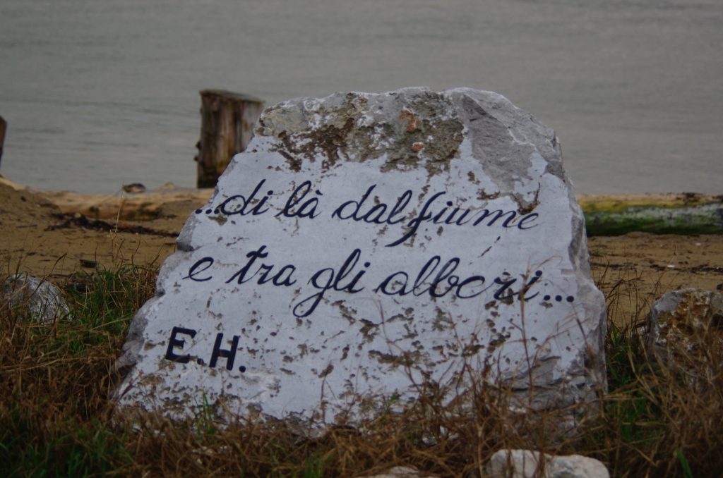 Credits: Giosuè Cuccurullo